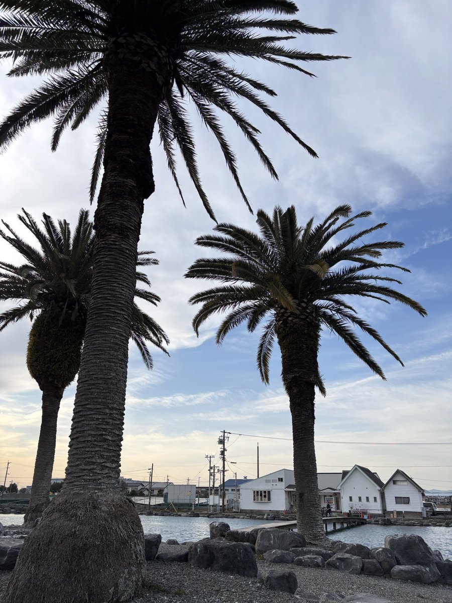 thtackle tweet media