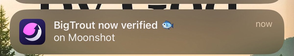 Sachcryptos's tweet image. Is this the next PENGUIN ? @moonshot