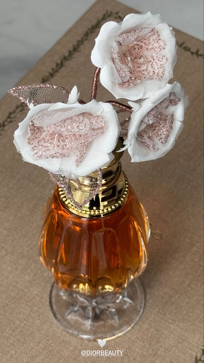 🕯️🕯️🕯️🕯️🕯️🕯️