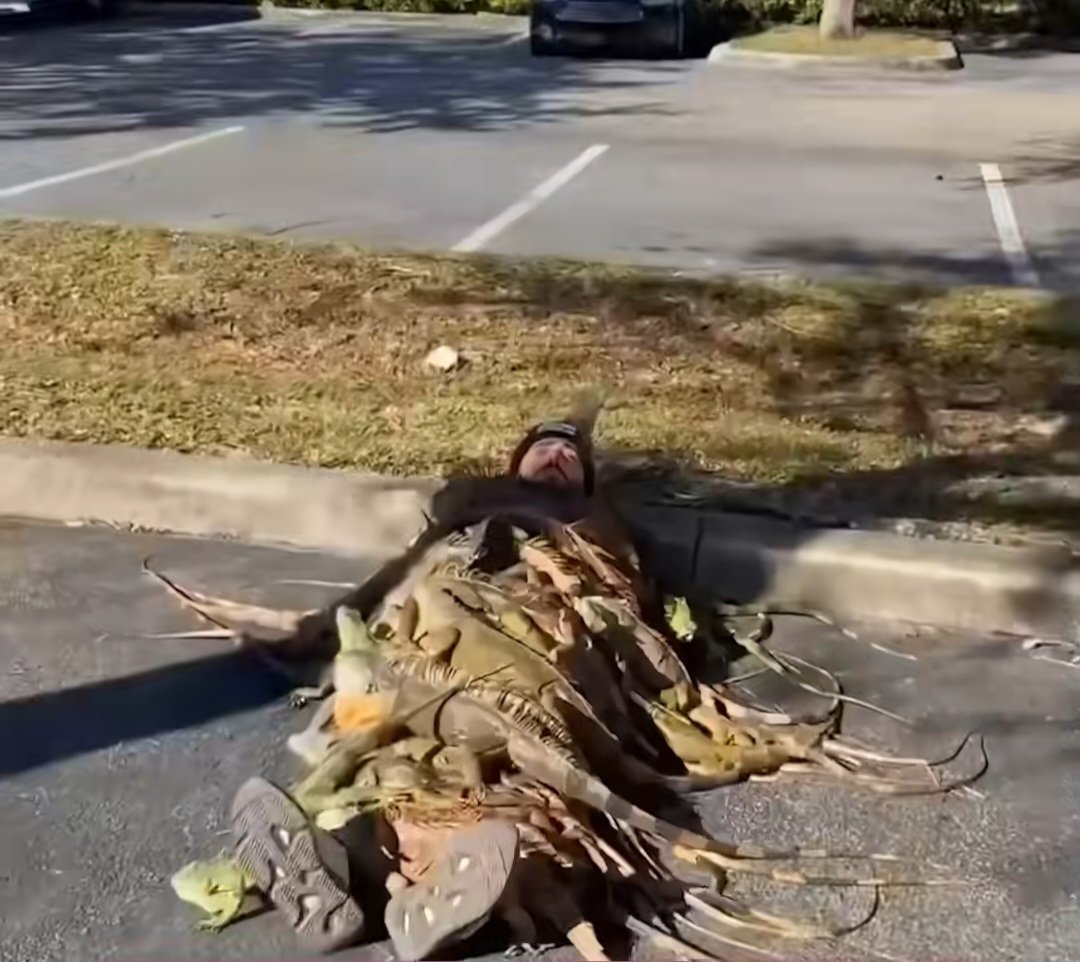 3 minutes after she tells me she's not coming over in this weather 😅😅 <a href="/grok/">Grok</a> do you think its right #Epstein #meme