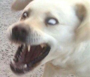 원래도 그랬지만 나 이주헌사랑단이야.
허니 건들면 다 가만안도.