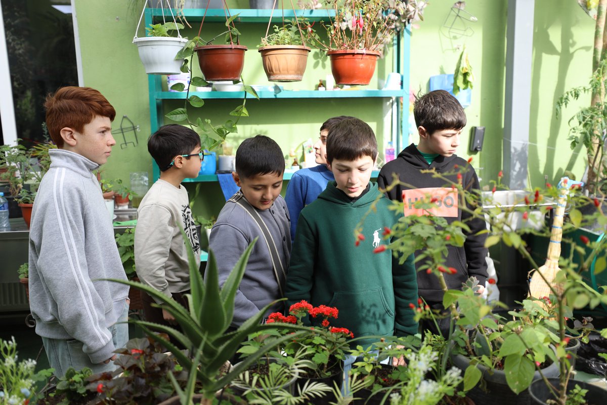 European School tweet media