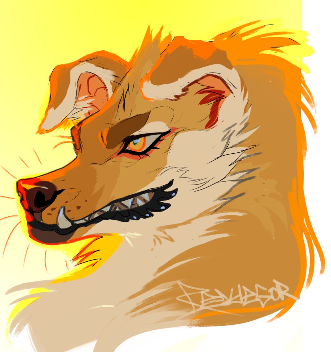 ℜ𝔢𝔶𝔡𝔢𝔤𝔬𝔯 ᚱᚷᚫ tweet media