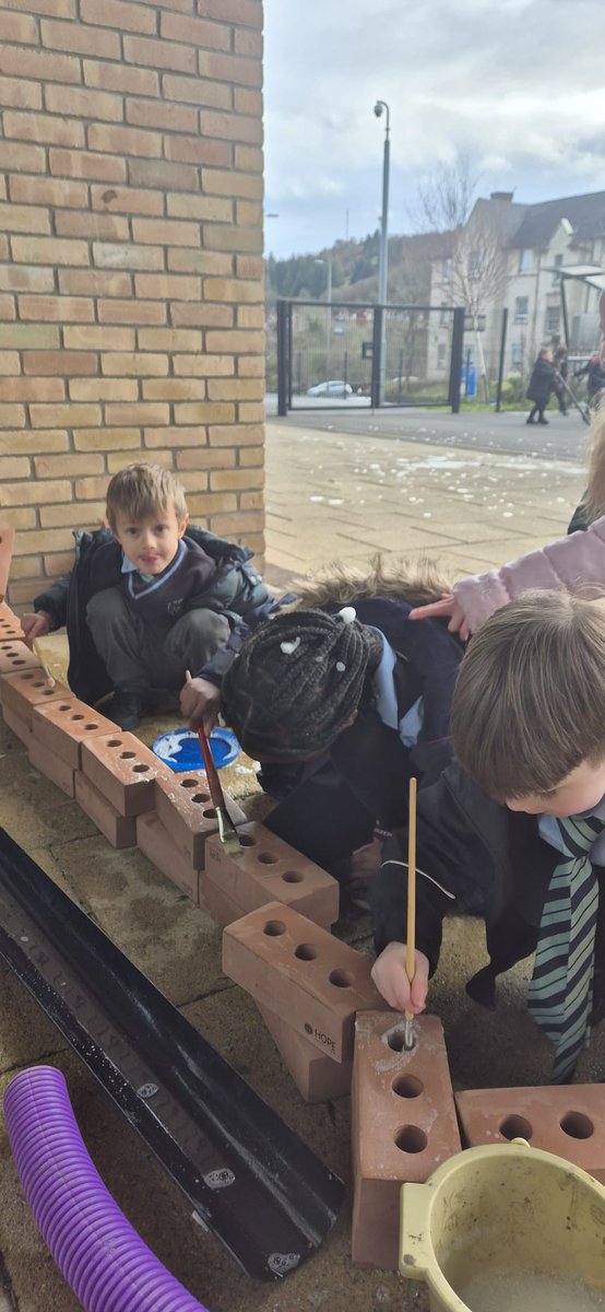 St Patrick's Primary tweet media