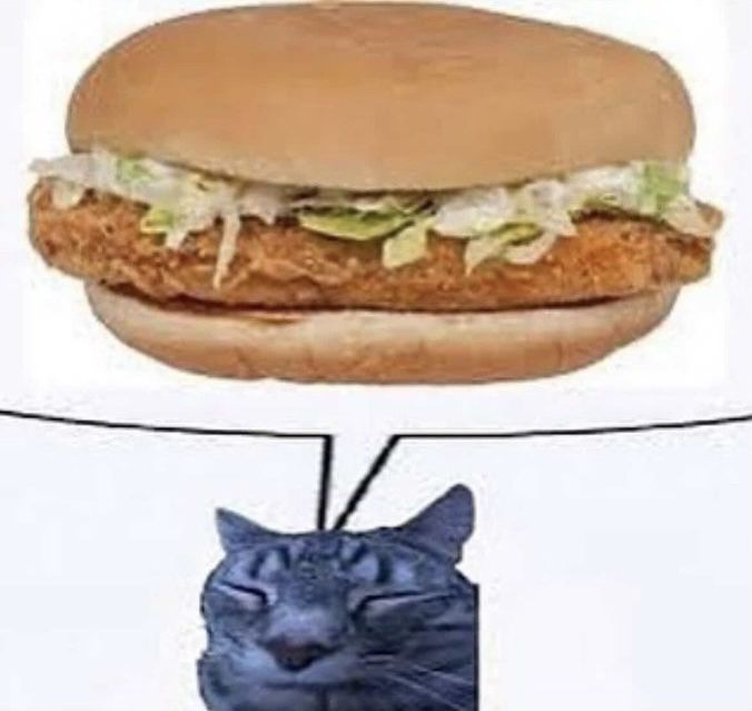 onlineinsane's tweet image. 