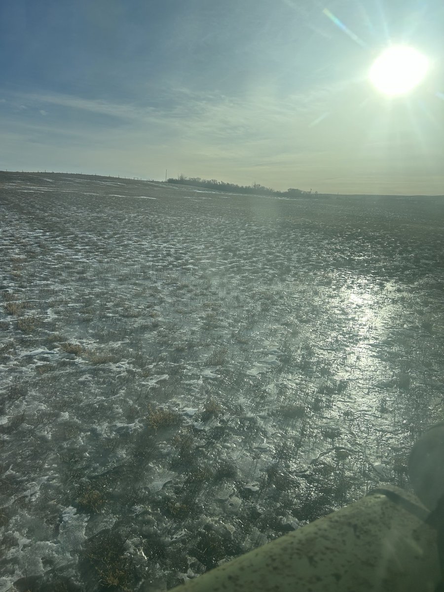 Curtis Hoffmann tweet media