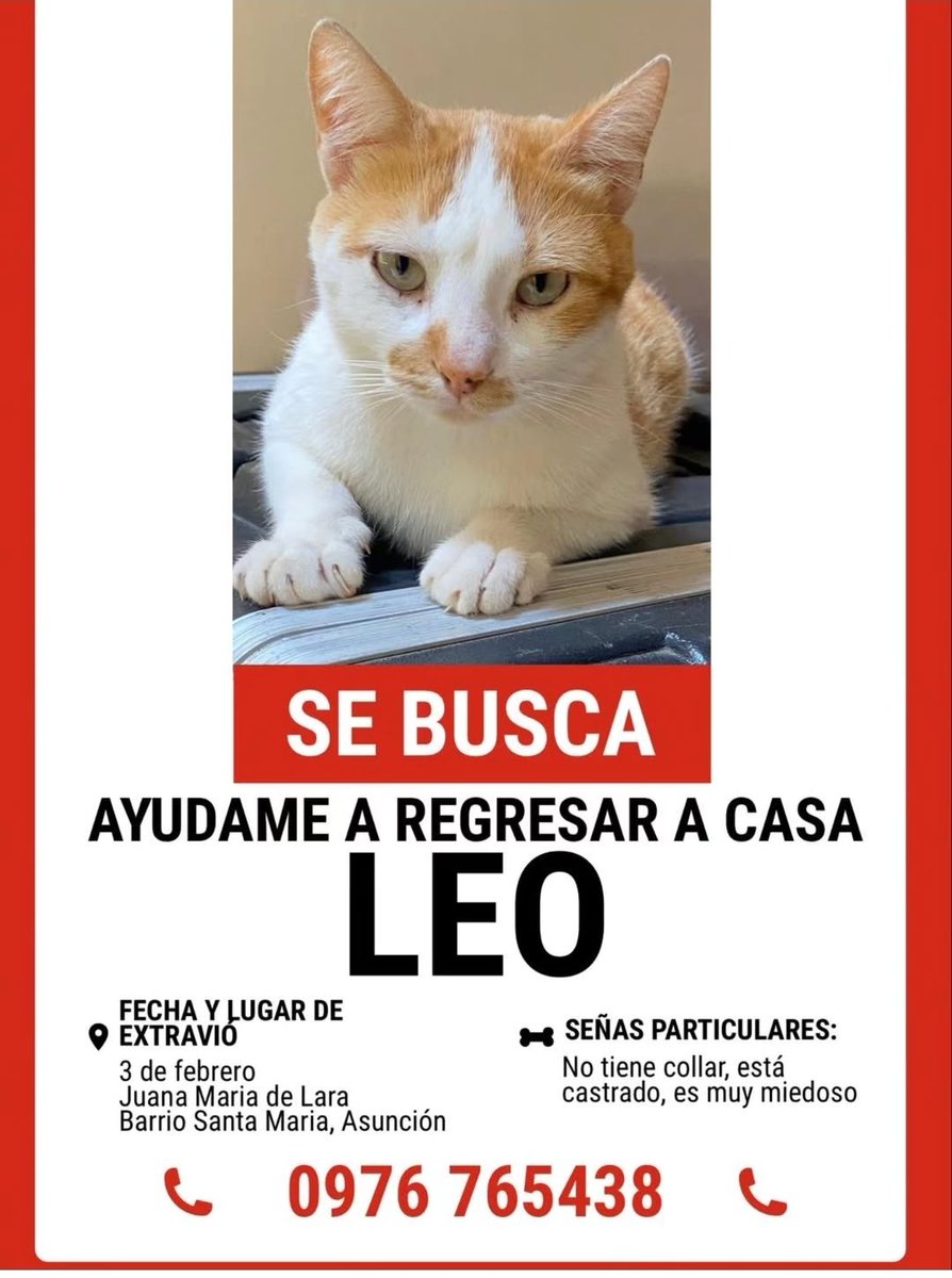 mariannojeda's tweet photo. Atención barrio Santa Maria de Asunción,  si le viste por favor avisa a su Familia.  Se agradece compartir https://t.co/vibh4I3IHz