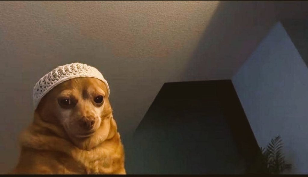 SpongeBob🌝🌸 tweet media