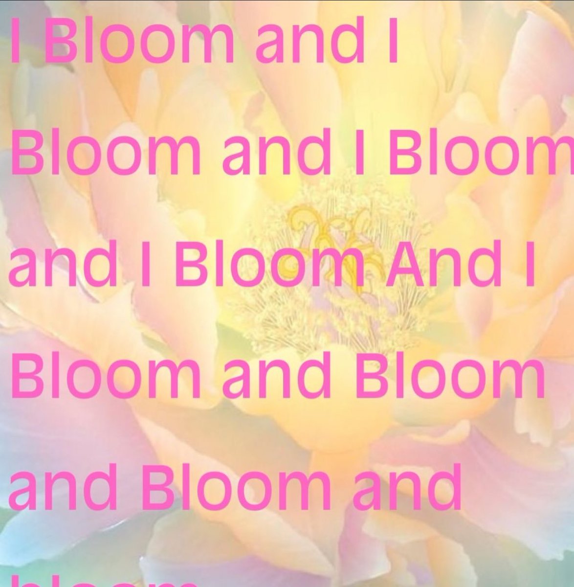 starslopped's tweet photo. keep blooming https://t.co/rDR4eoEgGJ