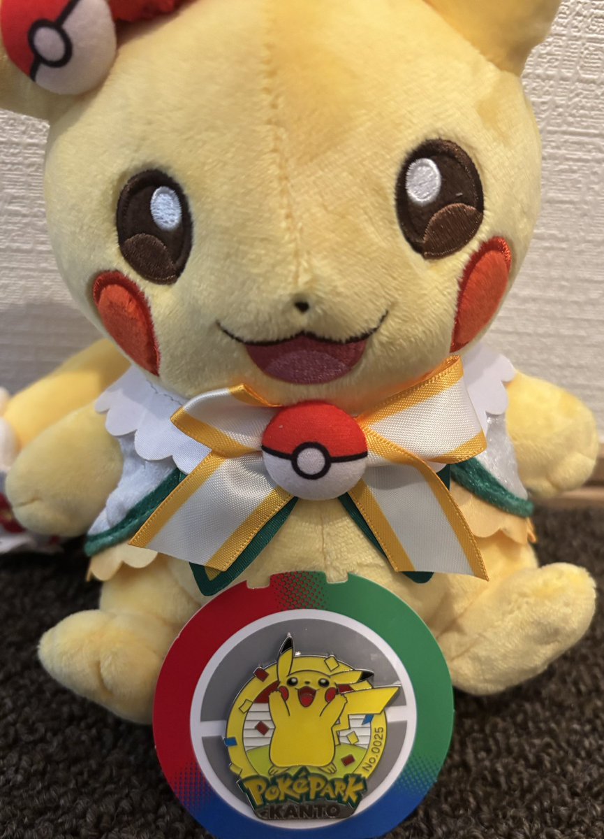 うおおおお！ピカチュウのピンズでました！めっちゃ嬉しい