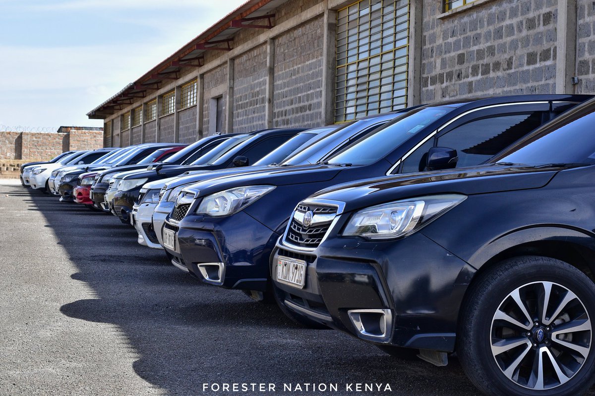 Forester Nation Kenya tweet media