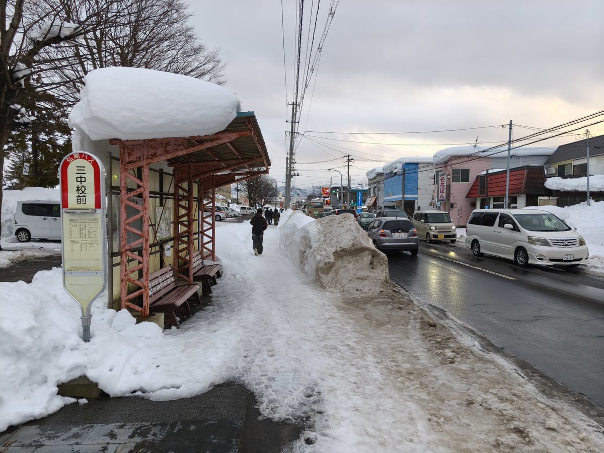 車道だけ春になった