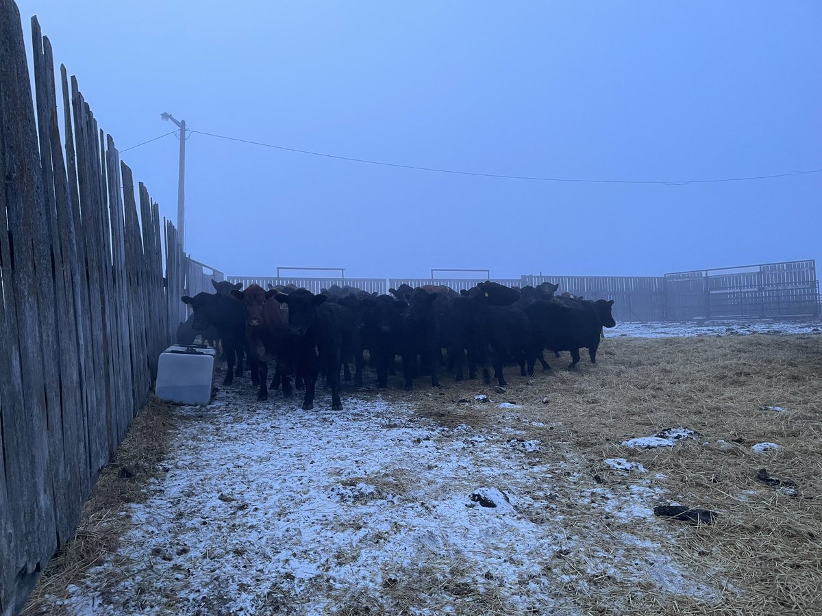 MajerKiller (@vertexfanatic) on Twitter photo 