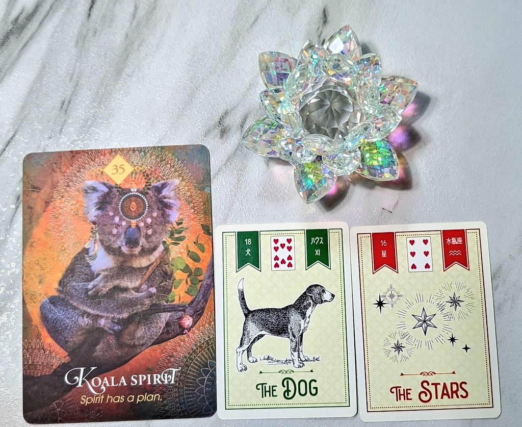 衣咲 芳奏(Kanade Isaki) (@ohana9moon) / Posts / X