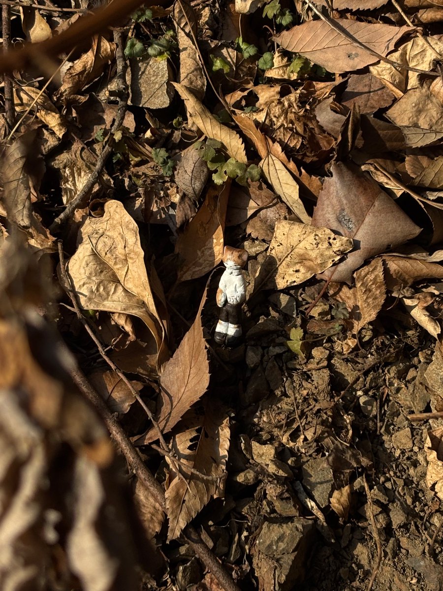 Nyanko様の7点専用ページ1です。