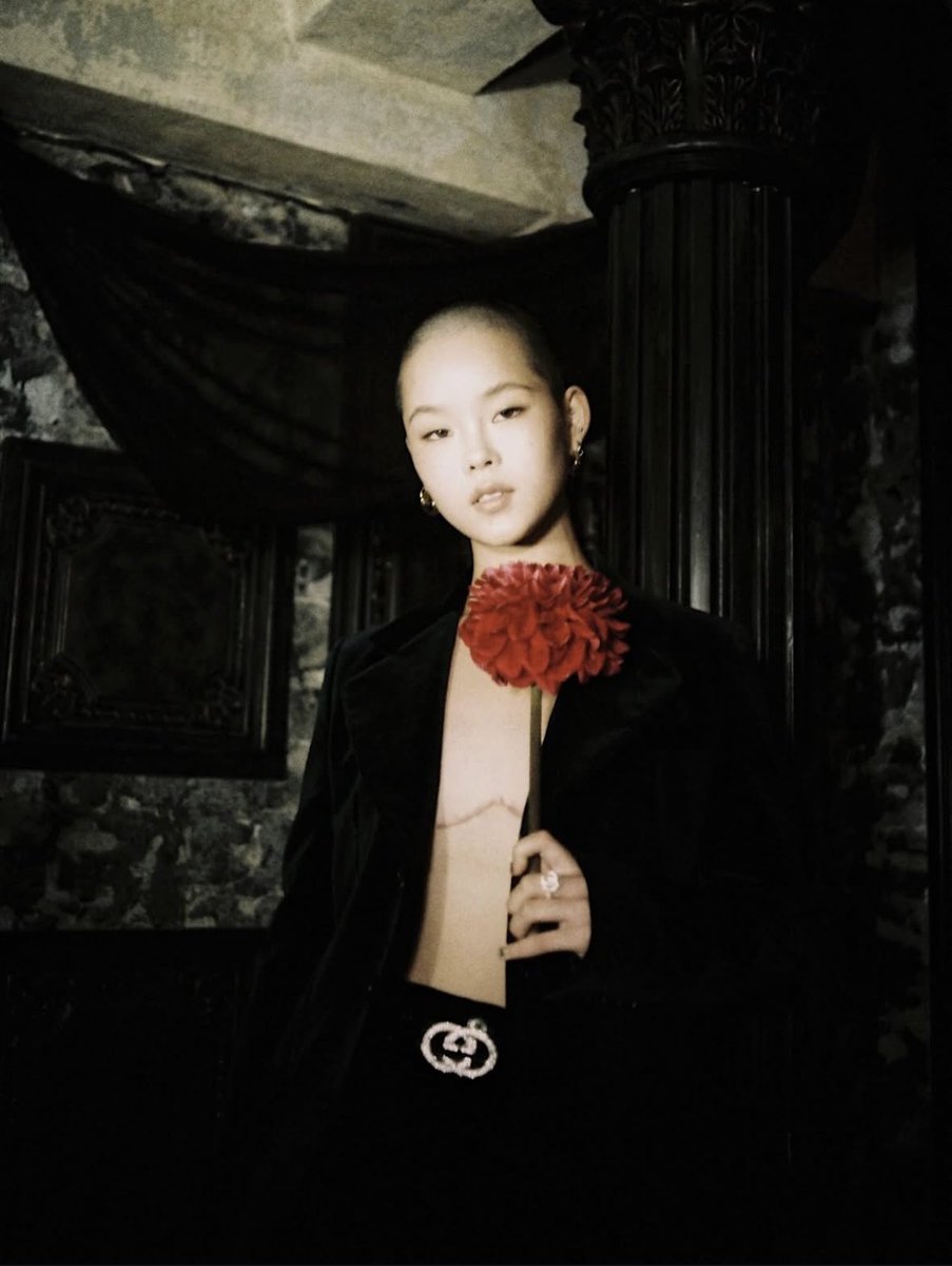 yoko(よーこ)🐺CORE🎯 (@yoko_ALPHAZ) / Posts / X