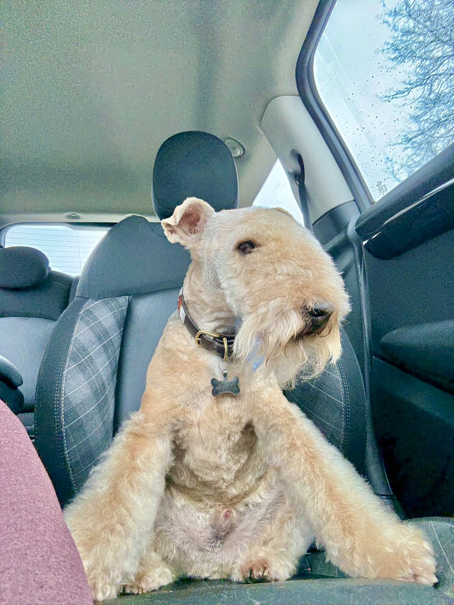 Bertie Lakeland tweet media