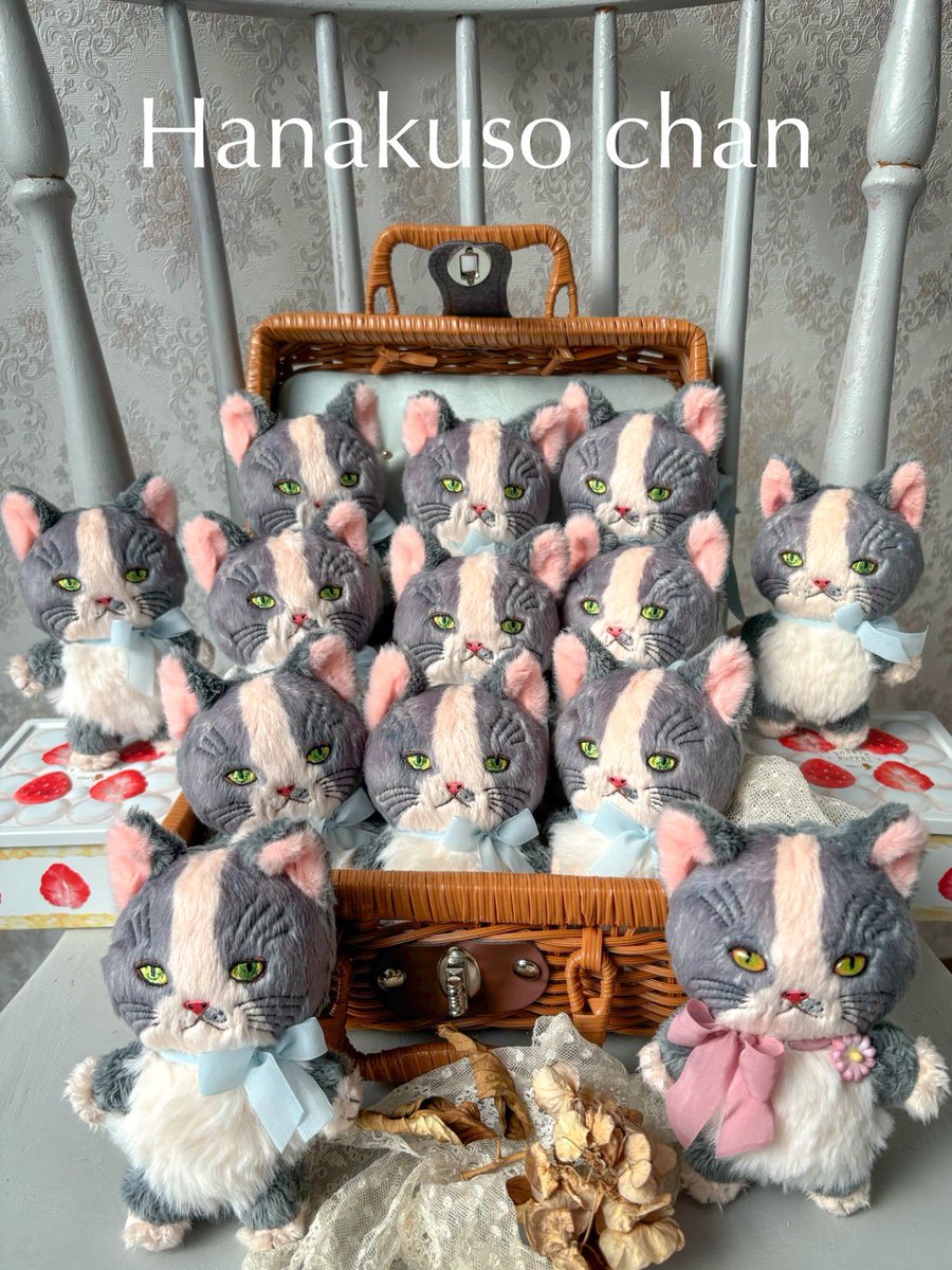 キニヒネ♨️リカ tweet media