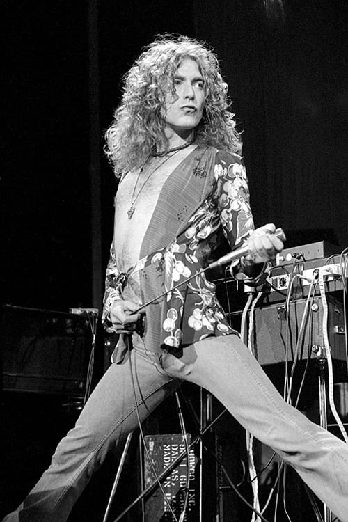 DarranAttwell's tweet photo. @Hoang_HQ How about Robert Plant. https://t.co/RZdf108BDG