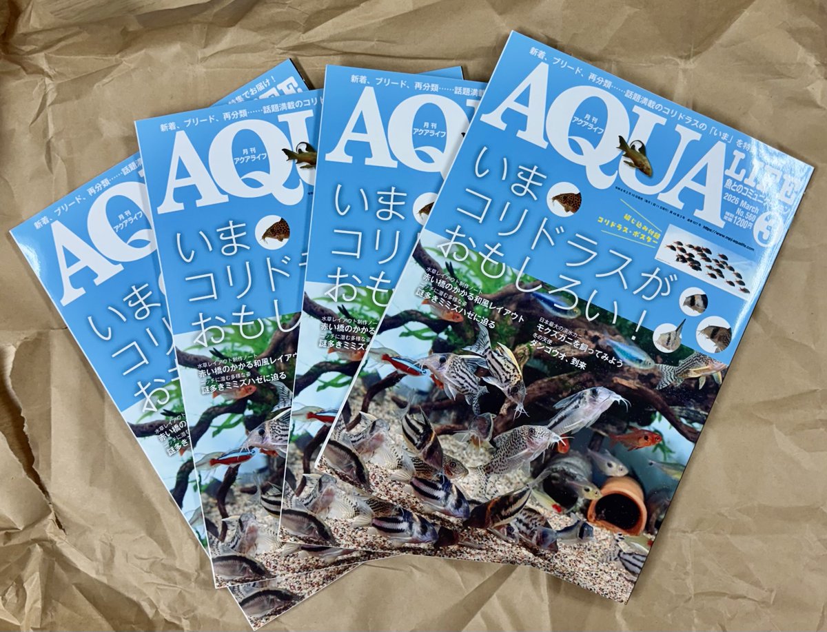 月刊アクアライフ編集部 (@AQUALIFE_MPJ) / Posts / X