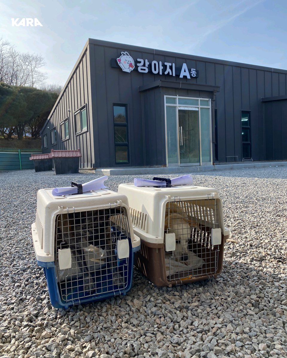 동물권행동 카라 tweet media
