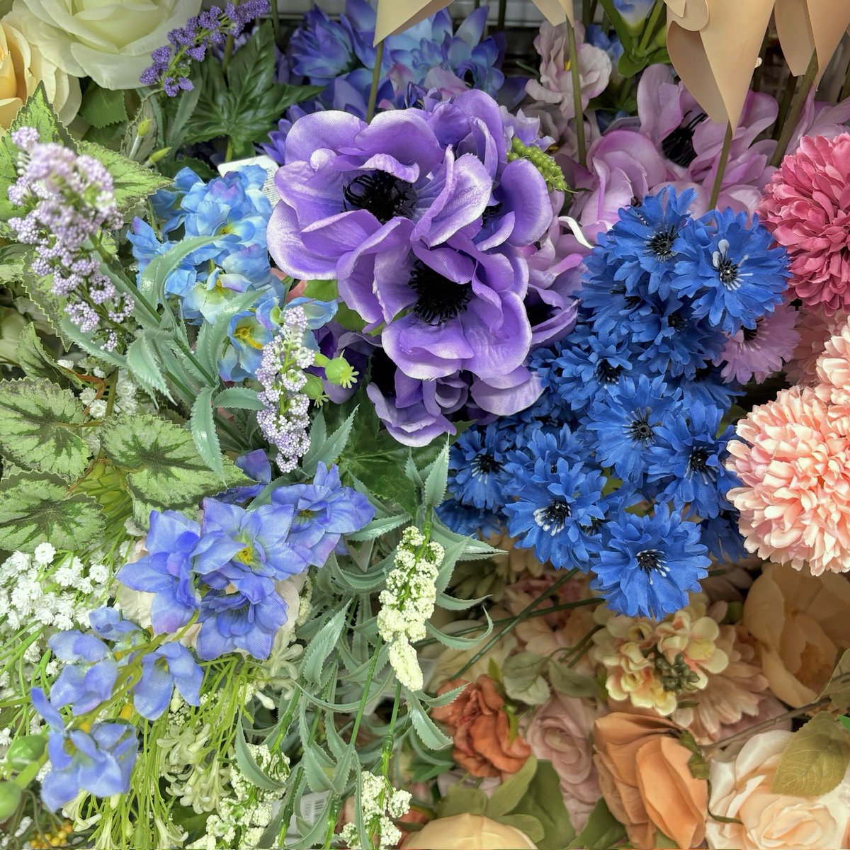 イワトビIWATOBI tweet media