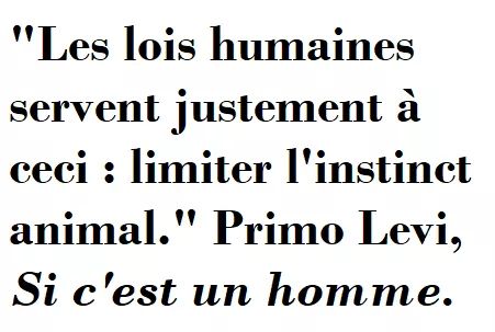 Françoise Zannier tweet media