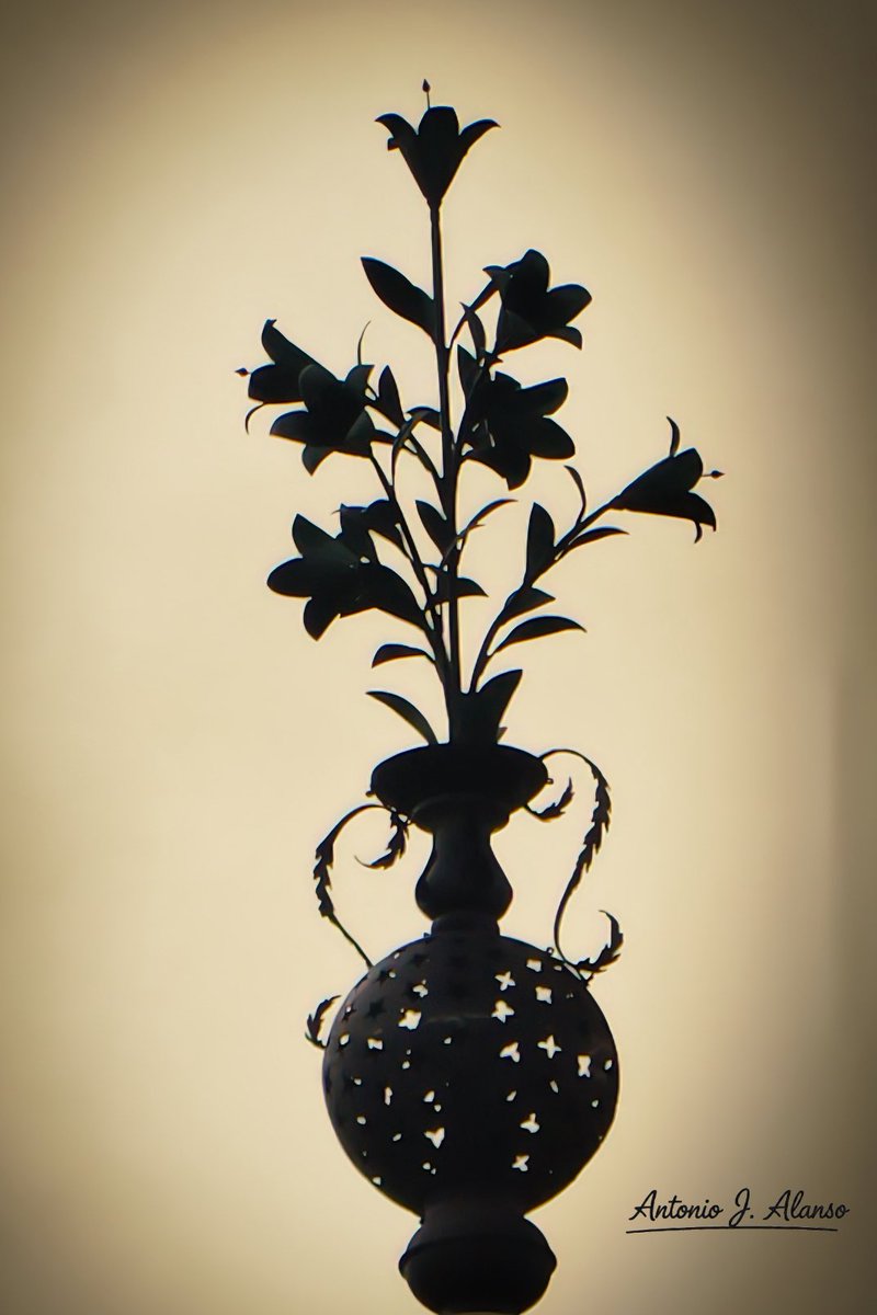 😢 #Sevilla #Giralda #azucena