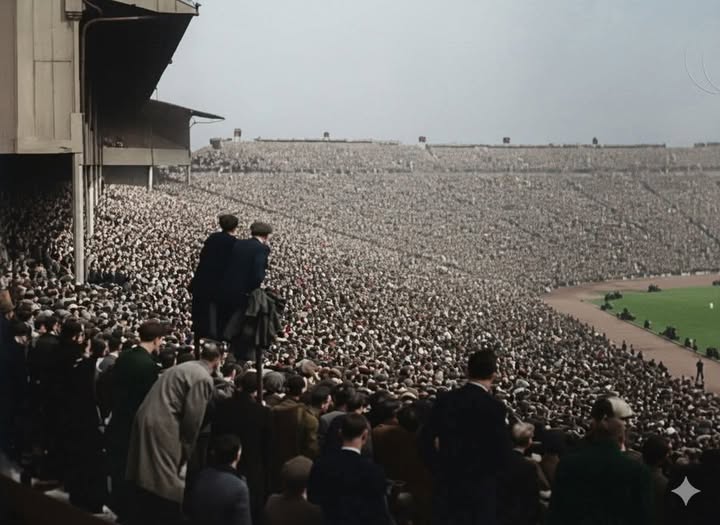 Lisbon Lion tweet media