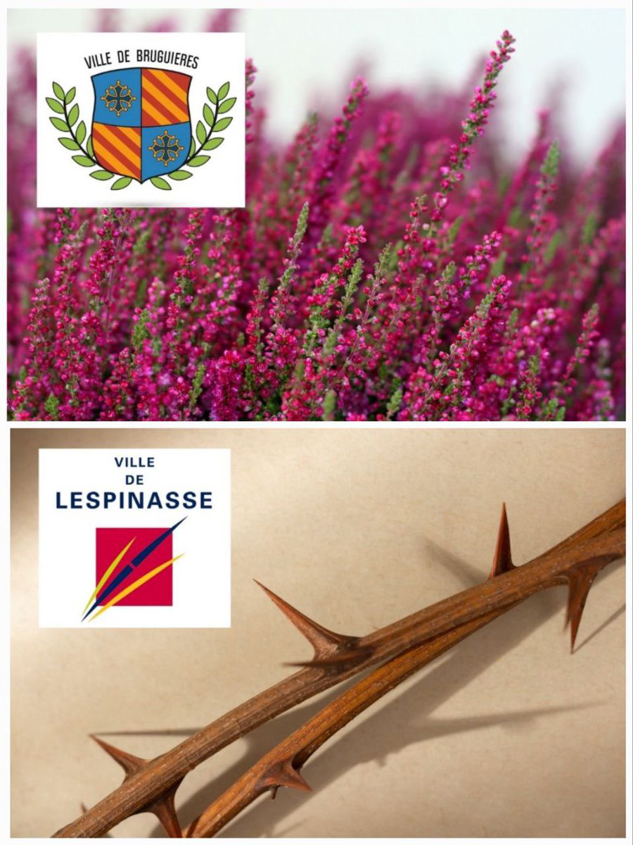 Jean-François Portarrieu tweet media