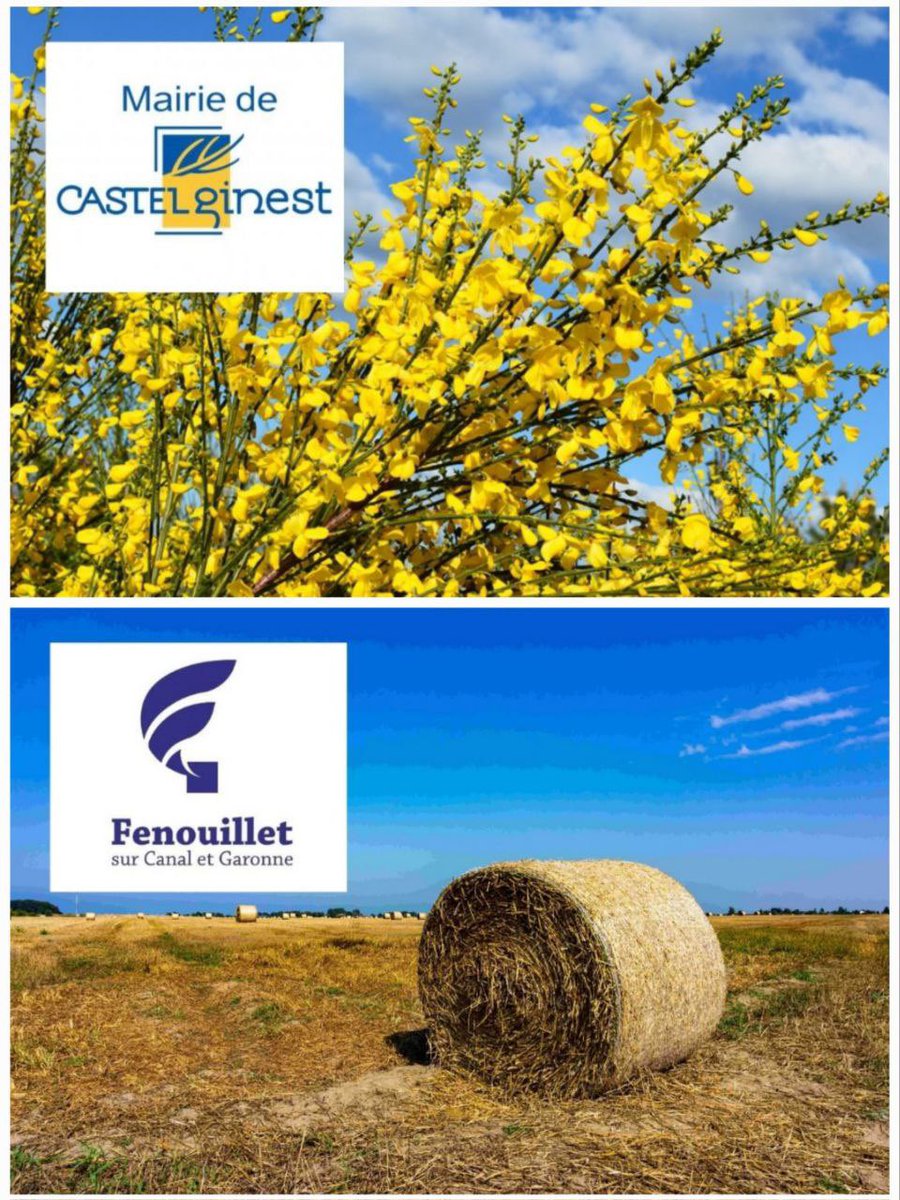 Jean-François Portarrieu tweet media