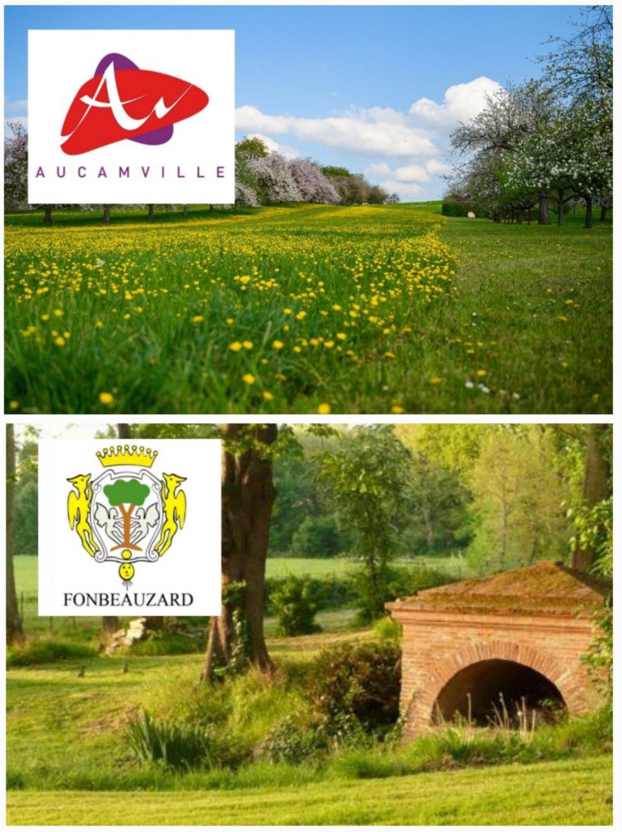 Jean-François Portarrieu tweet media