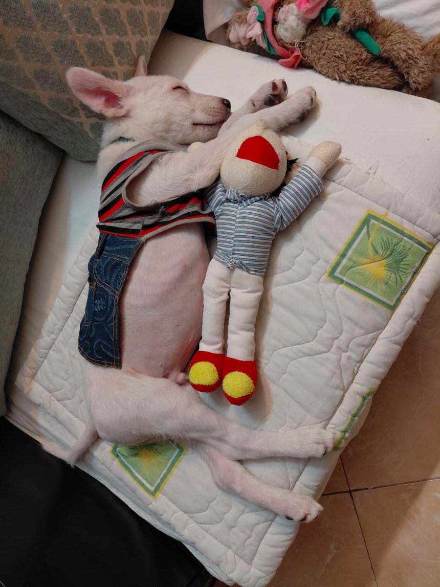 من اگر نتونم برای این بچه تا فردادیه جای موقت پیدا کنم باید برش گردونم تو بیابونی که تک و تنها و گرسنه پیداش کردم.