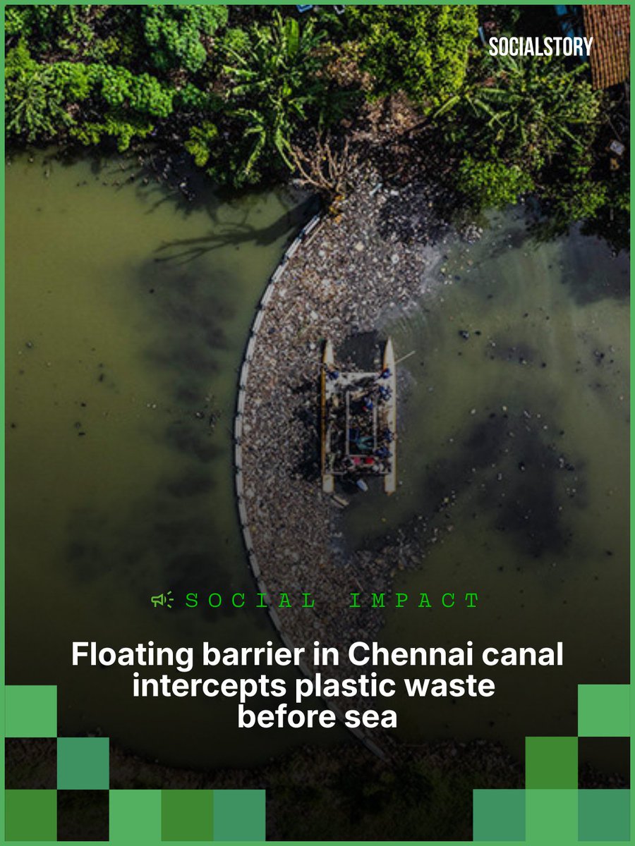 SocialStory tweet media