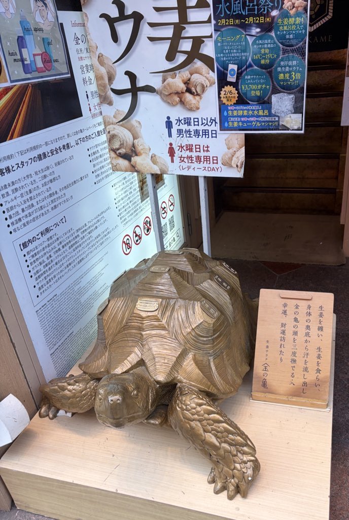 Mrsauner182's tweet photo. 生姜サウナ金の亀。
生姜サウナも最高。
でもサ飯の生姜焼きが反則級。
今まで食べた生姜焼きで間違いなくNo.1。

ご飯オカワリ一杯まで無料。
満腹です。 https://t.co/5zWV6boQOs