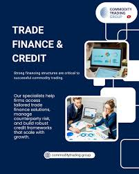 rwamutwe's tweet photo. "Your are a start up" this narrative from Banks often derails trade finance facilities from Financiers..
At wat point do start ups be financially eligible to credit🤔??
Under SCTF , we throw the limitations out the window &amp; derive the strength of the transaction on other factors https://t.co/Ij7q4Av4Y6