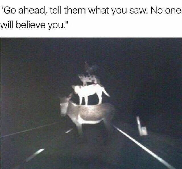 yeah00823's tweet image. atm梗图一枚
#AveMujica