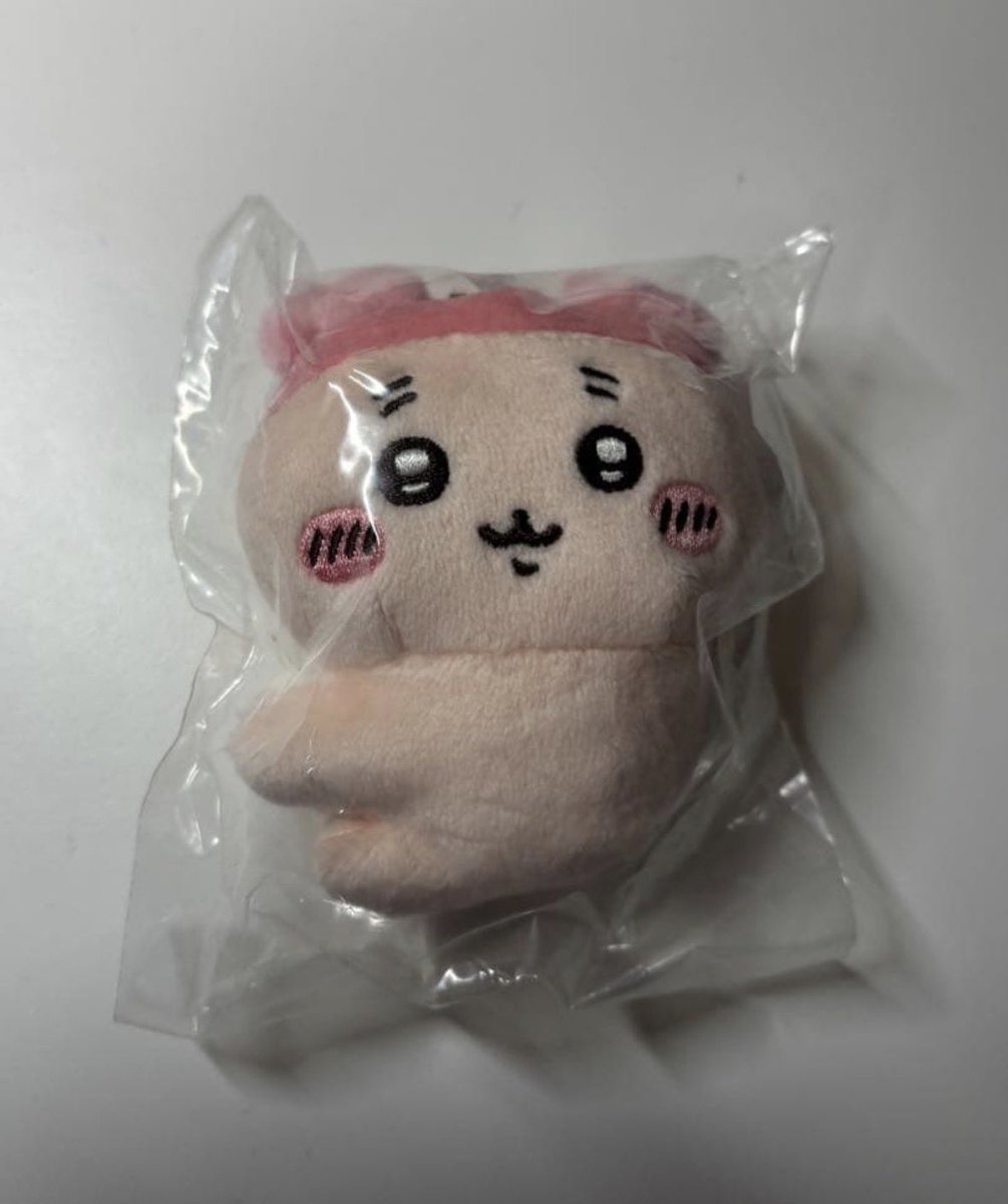 餃子🥟 tweet media