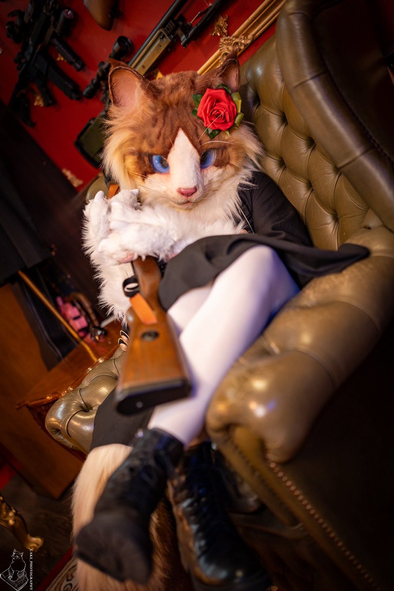 Yako➡️FurryJOA🇰🇷 (@yako568987) / Posts / X