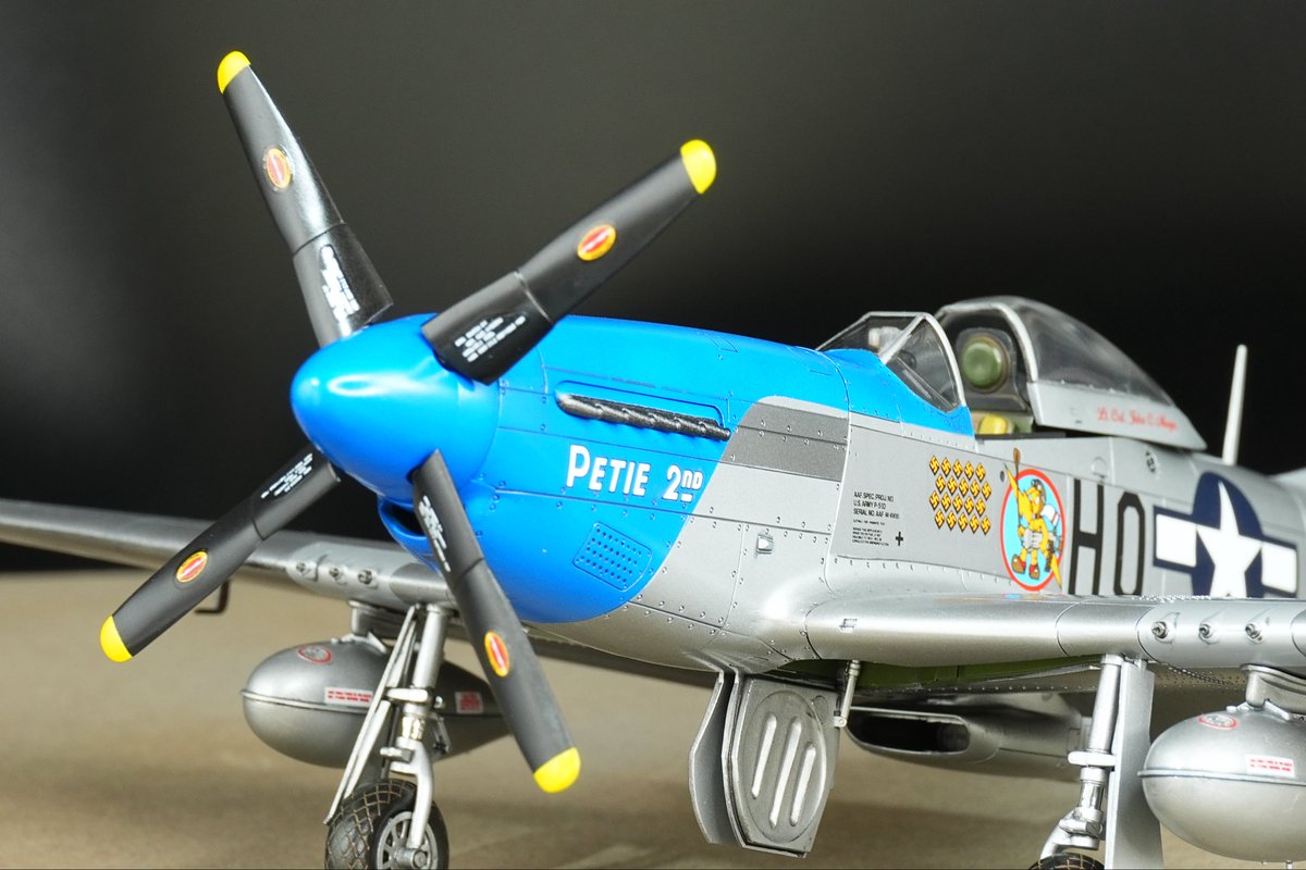 Randy |元潜水艦乗りのパイロット (@modeavi1) / Posts / X