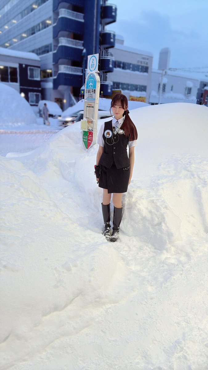 北海道の雪の理想と現実。。 ←理想 現実→