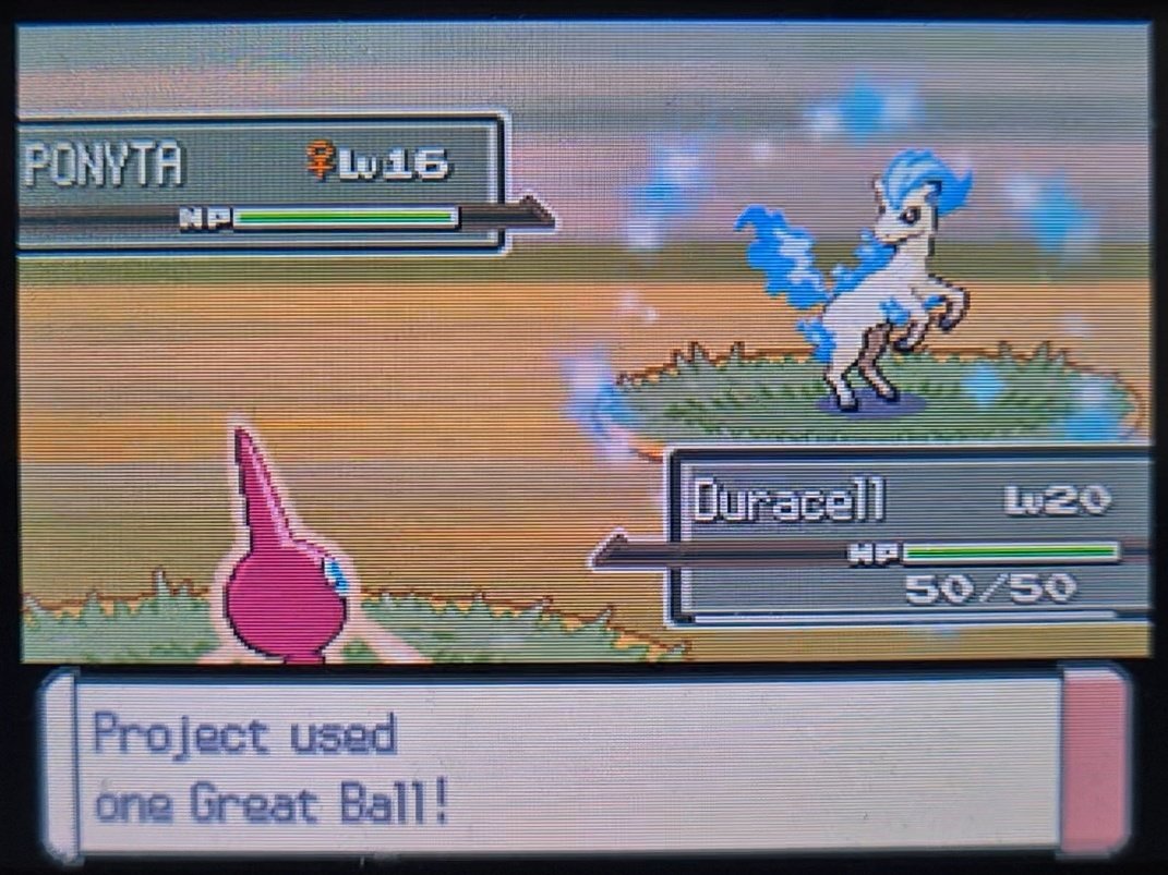 Proj in Sinnoh 📍 tweet media