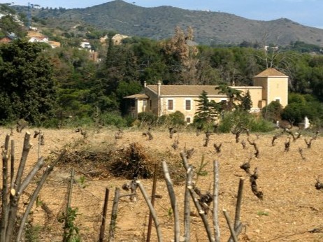 Can Colomer: Futur barri o amenaça per a la #Badalona sostenible
L’entitat Badalona Verda alerta que el projecte urbanístic pretén construir fins a 700 habitatges en una zona de gran valor natural i patrimonial t.ly/MTt4o