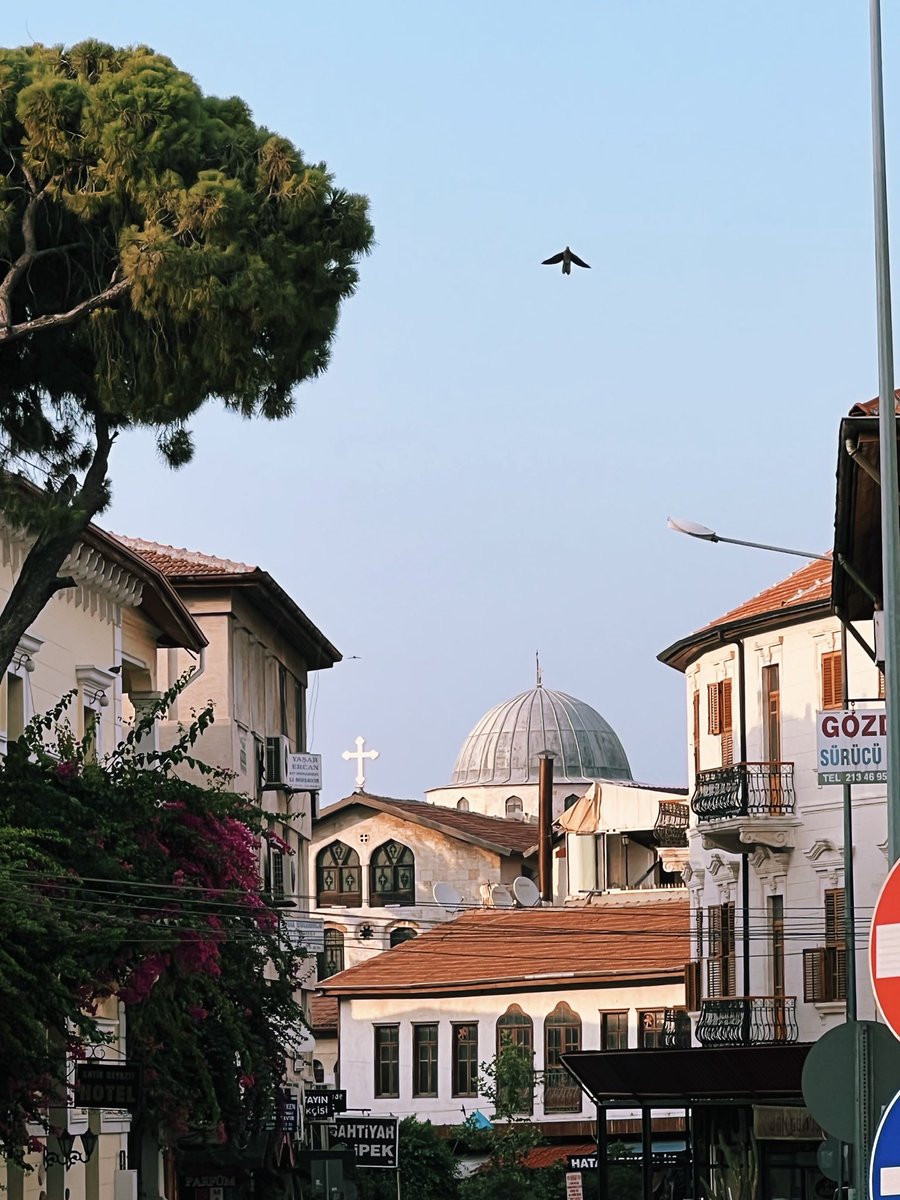 Selim | سليم tweet media