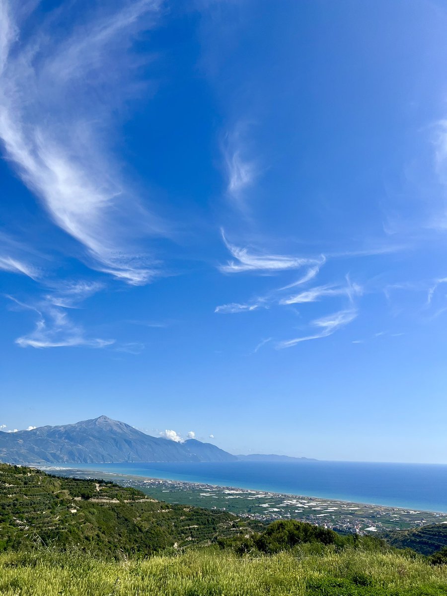 Selim | سليم tweet media