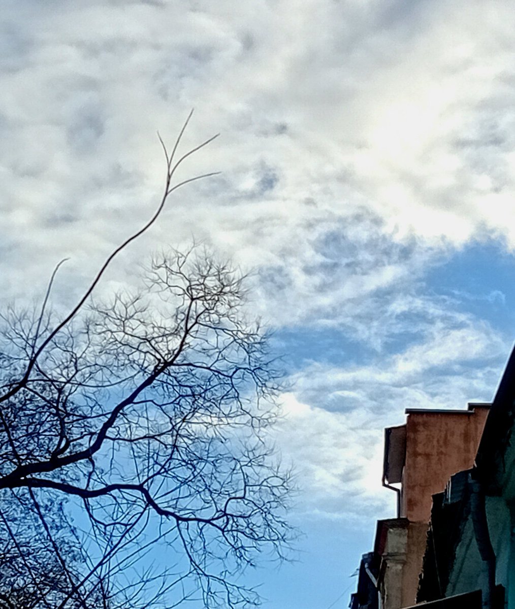 Катерина Галич tweet media