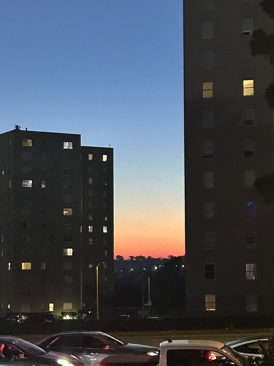 _koooi_'s tweet photo. “Beautiful gradient to use for your next project” ahh photo I took tonight https://t.co/iCIeDWiDDl