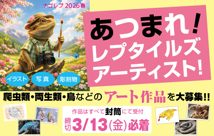 【公式】ナゴヤレプタイルズワールド tweet media