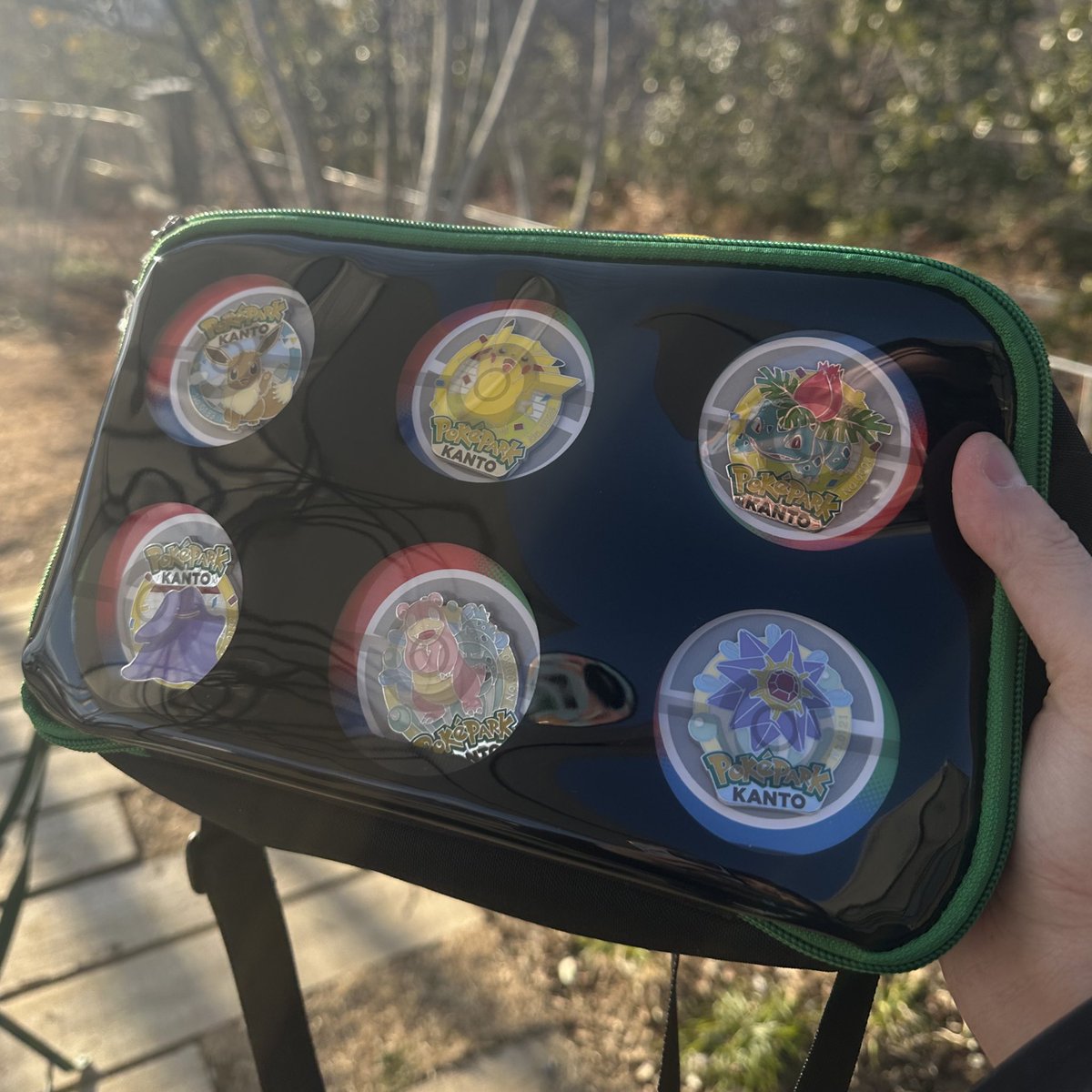 ポケパークのピンズが入るバッグ最高！ シート外せるし、手持ち6体付け
