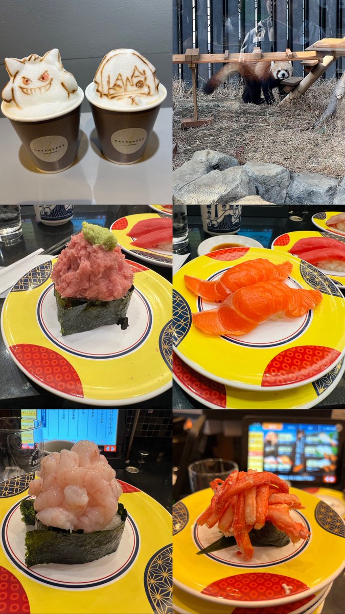 ろとぽん tweet media